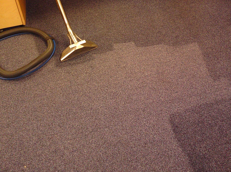 wonder carpet cleaning